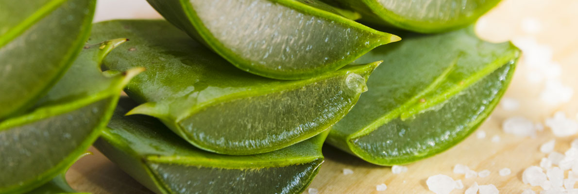 LAloe vera per depurare e perdere peso: i consigli da seguire