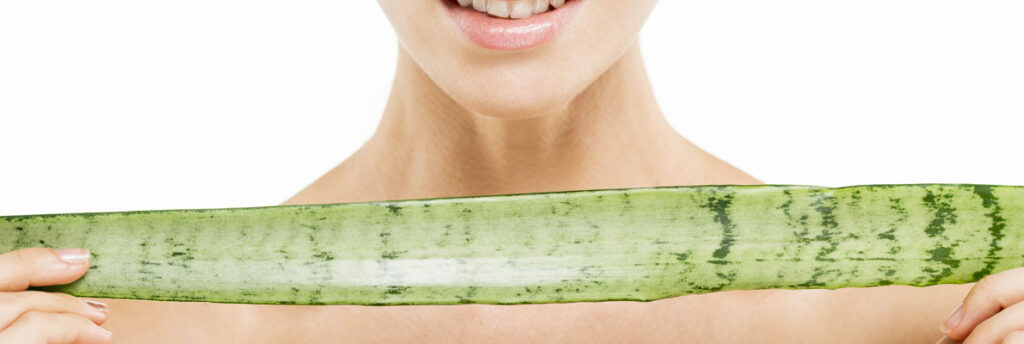 aloe vera slim